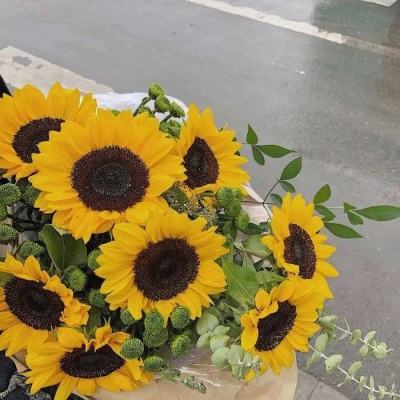 leyu·乐鱼(中国)体育app下载