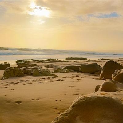 爱游戏全站APP下载app下载